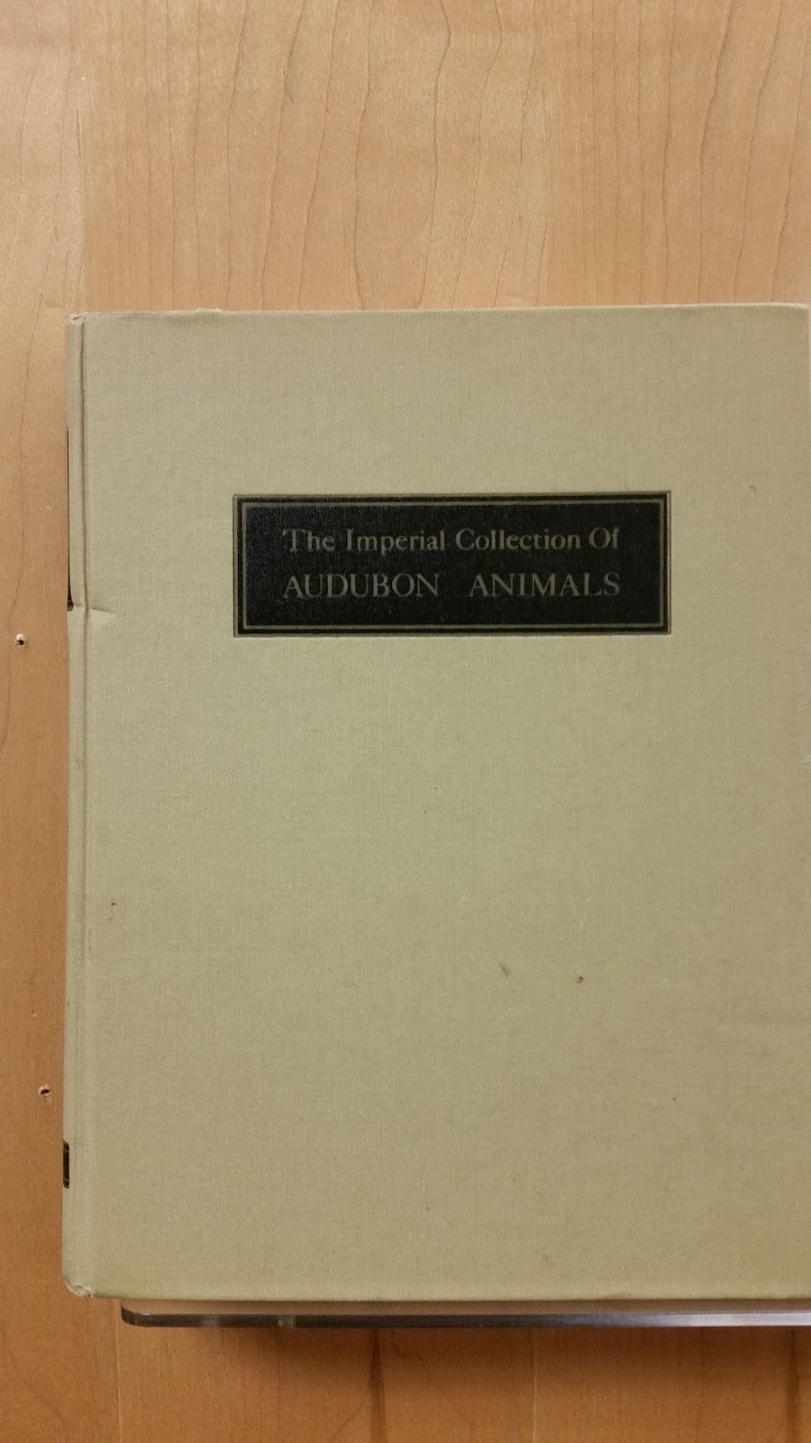 Adventures in Weseland Black Oak Books in Berkeley