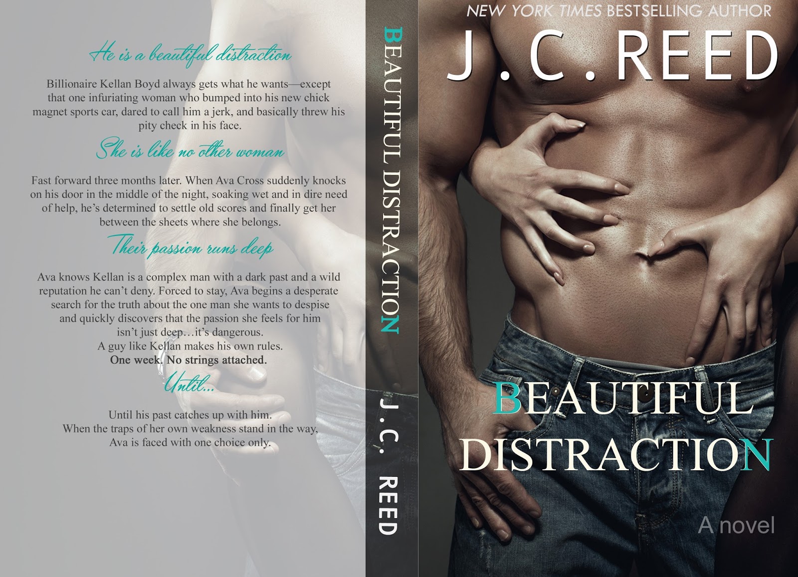 JC Reed, Author Cover reveal Beautiful Distraction