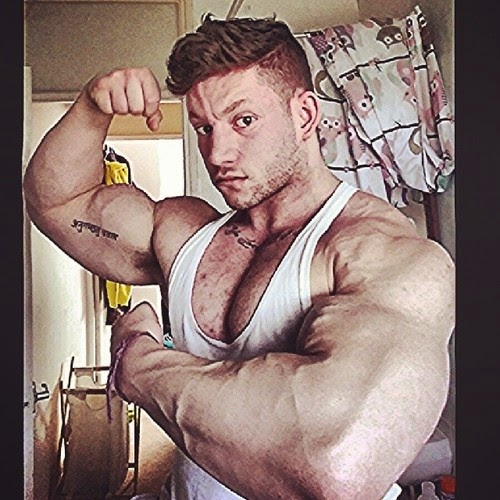 100 бицов это. Подъем штанги на бицепс на скамье скотта. Обхват бицепса. Мускулистая рука. Бицепс фото.