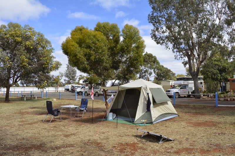 Overwintert Kalgoorlie