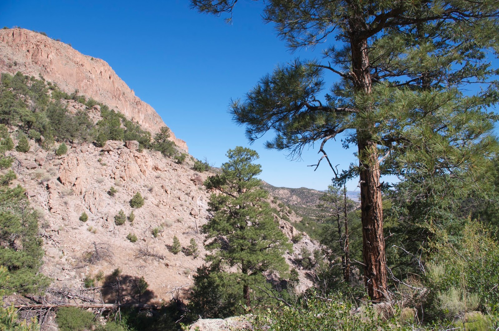 Southern New Mexico Explorer Cañoncito Seco Trail Santa Fe National