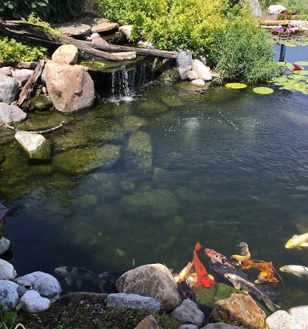 koi-pond-aerator.jpg