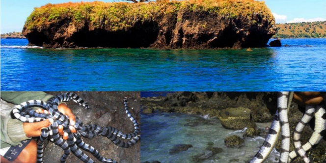 keindahan pantai yang ada di bima | infonesia