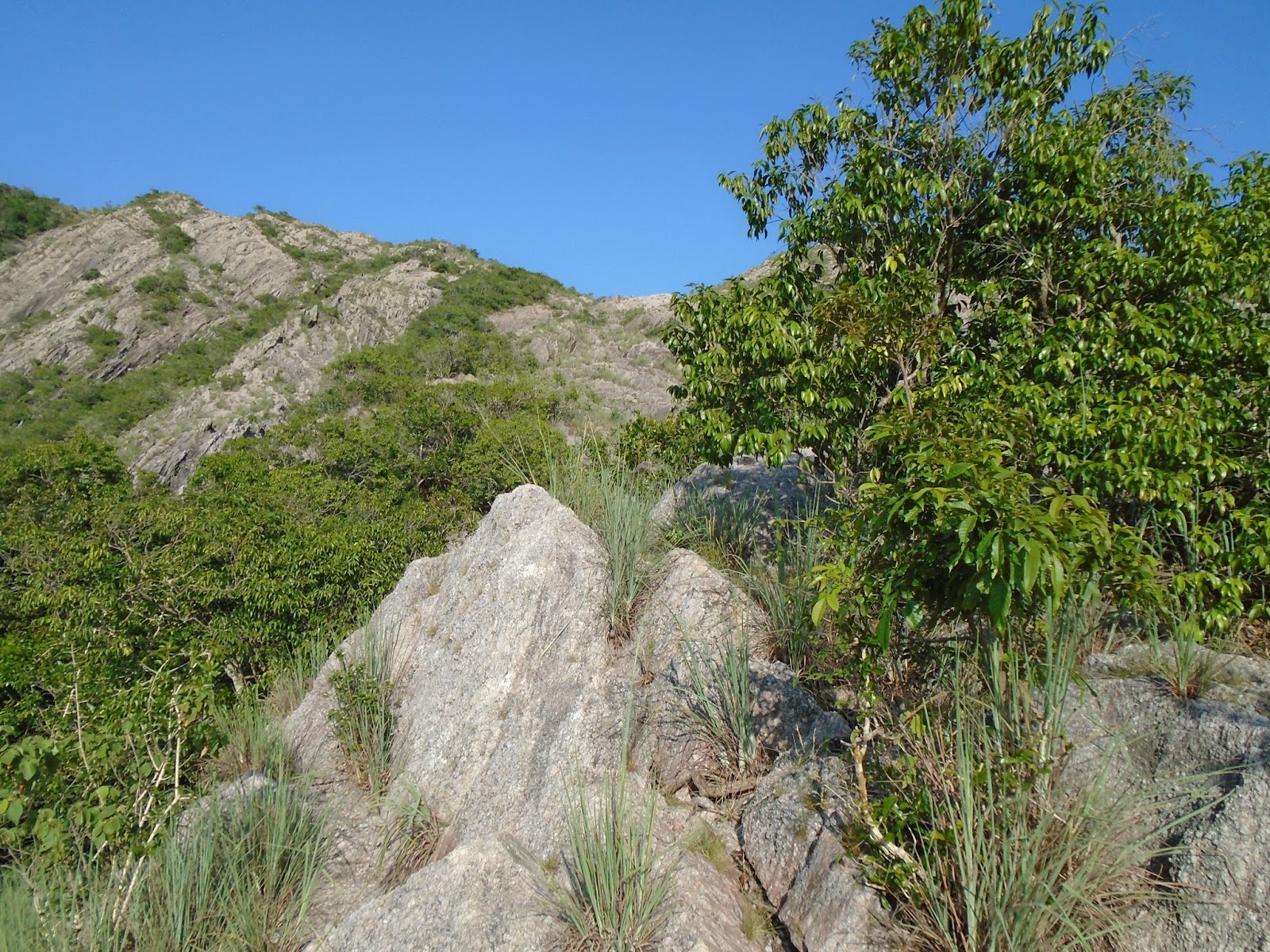 DSC00415.JPG
