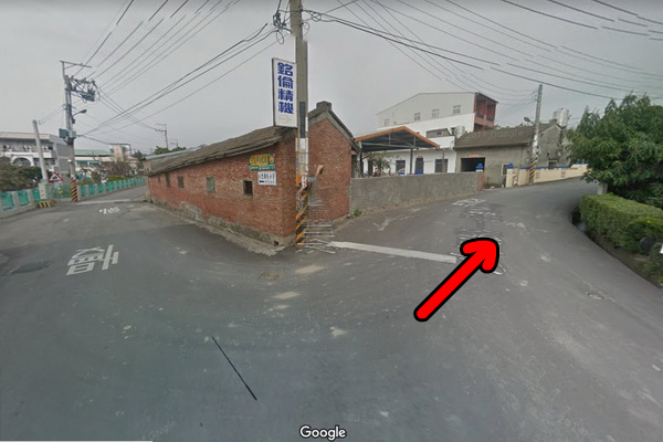 台中大肚中東海棗田、落羽松森林,壯觀挺拔又整齊像隧道,漂亮好拍 台中大肚中東海棗田、落羽松森林,壯觀挺拔又整齊像隧道,漂亮好拍