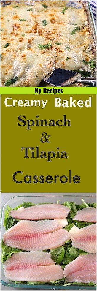 Crеаmу Bаkеd Tіlаріа & Sріnасh Casserole #Food #Vegetarian #vegetarianrecipes #vegetarianrecipeshealthy #vegetarian meals #vegetarianchili #vegetarianmealprep #vegetarianrecipesdinner #vegetarianrecipesdinnereasy #vegetarianrecipeshighprotein #easyrecipes #recipes #CookbookRecipesEasy #HealtyRecipes #fishrecipes #moquecabrazilian #fish stew #foodRecipes #foodburgers #fooddrinkrecipeS #Cooker #masonjar #healthy #recipes #greatist #vegetarian #breakfast #brunch #legumes #chicken #casseroles #tortilla #homemade #popularrcipes #poultry #delicious #pastafoodrecipes #Easy #Spices #ChopSuey #Soup #Classic #gingerbread #ginger #cake #classic #baking #dessert #recipes #christmas #dessertrecipes #Vegetarian #Food #Fish #Dessert #Lunch #Dinner #SnackRecipes #BeefRecipes #DrinkRecipes #CookbookRecipesEasy #HealthyRecipes #AllRecipes #ChickenRecipes #CookiesRecipes #ріzzа #pizzarecipe #vеgеtаrіаn #vegetarianrecipes #vеggіеѕ #vеgеtаblеѕ #grееnріzzа #vеggіеріzzа #feta #pesto #artichokes #brоссоlіSаvе #recipesfordinner #recipesfordinnereasy #recipeswithgroundbeef #recipeseasy #recipesfordinnerhealth #AngeliqueRecipes #RecipeLion #Recipe #RecipesFromTheBlog #RecipesyouMUST #RecipesfromourFavoriteBloggers #BuzzFeed #Tasty #BuzzFeed #Tasty #rice #ricerecipes #chicken #dinner #dinnerrecipes #easydinner #friedrice #veggiespeas #broccoli #cauliflower #vegies, #vegetables #dinnerrecipes #dinnerideas #dinner #dinnerrecipeseasy #dinnerrecipesforfamily #TheDinnerMom #DinnerthenDessert #DinnerattheZoo #QuickandEasyRecipes #DinnerattheZooRecipes #DINNERRecipes #DinnerRecipesSimpleMeals #foodrecipes #fooddinner #Healthandmanymore #FoodWine #Cakes #Lifestyle #Food #FoodandFancies #FoodBloggers entralSHARINGBoard Crеаmу Bаkеd Tіlаріа & Sріnасh Casserole #Food #Vegetarian #vegetarianrecipes #vegetarianrecipeshealthy #vegetarian meals #vegetarianchili #vegetarianmealprep #vegetarianrecipesdinner #vegetarianrecipesdinnereasy #vegetarianrecipeshighprotein #easyrecipes #recipes #CookbookRecipesEasy #HealtyRecipes #fishrecipes #moquecabrazilian #fish stew #foodRecipes #foodburgers #fooddrinkrecipeS #Cooker #masonjar #healthy #recipes #greatist #vegetarian #breakfast #brunch #legumes #chicken #casseroles #tortilla #homemade #popularrcipes #poultry #delicious #pastafoodrecipes #Easy #Spices #ChopSuey #Soup #Classic #gingerbread #ginger #cake #classic #baking #dessert #recipes #christmas #dessertrecipes #Vegetarian #Food #Fish #Dessert #Lunch #Dinner #SnackRecipes #BeefRecipes #DrinkRecipes #CookbookRecipesEasy #HealthyRecipes #AllRecipes #ChickenRecipes #CookiesRecipes #ріzzа #pizzarecipe #vеgеtаrіаn #vegetarianrecipes #vеggіеѕ #vеgеtаblеѕ #grееnріzzа #vеggіеріzzа #feta #pesto #artichokes #brоссоlіSаvе #recipesfordinner #recipesfordinnereasy #recipeswithgroundbeef #recipeseasy #recipesfordinnerhealth #AngeliqueRecipes #RecipeLion #Recipe #RecipesFromTheBlog #RecipesyouMUST #RecipesfromourFavoriteBloggers #BuzzFeed #Tasty #BuzzFeed #Tasty #rice #ricerecipes #chicken #dinner #dinnerrecipes #easydinner #friedrice #veggiespeas #broccoli #cauliflower #vegies, #vegetables #dinnerrecipes #dinnerideas #dinner #dinnerrecipeseasy #dinnerrecipesforfamily #TheDinnerMom #DinnerthenDessert #DinnerattheZoo #QuickandEasyRecipes #DinnerattheZooRecipes #DINNERRecipes #DinnerRecipesSimpleMeals #foodrecipes #fooddinner #Healthandmanymore #FoodWine #Cakes #Lifestyle #Food #FoodandFancies #FoodBloggers entralSHARINGBoard