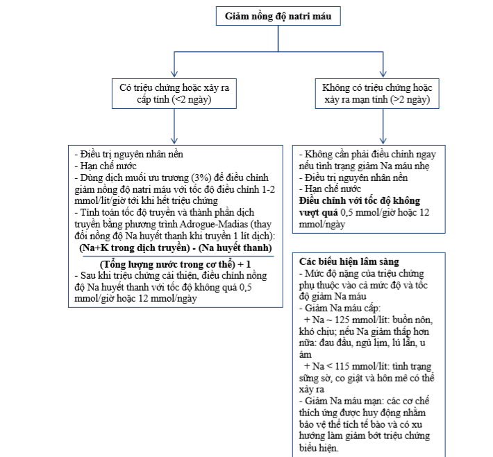 Sơ đồ điều trị hạ natri máu 