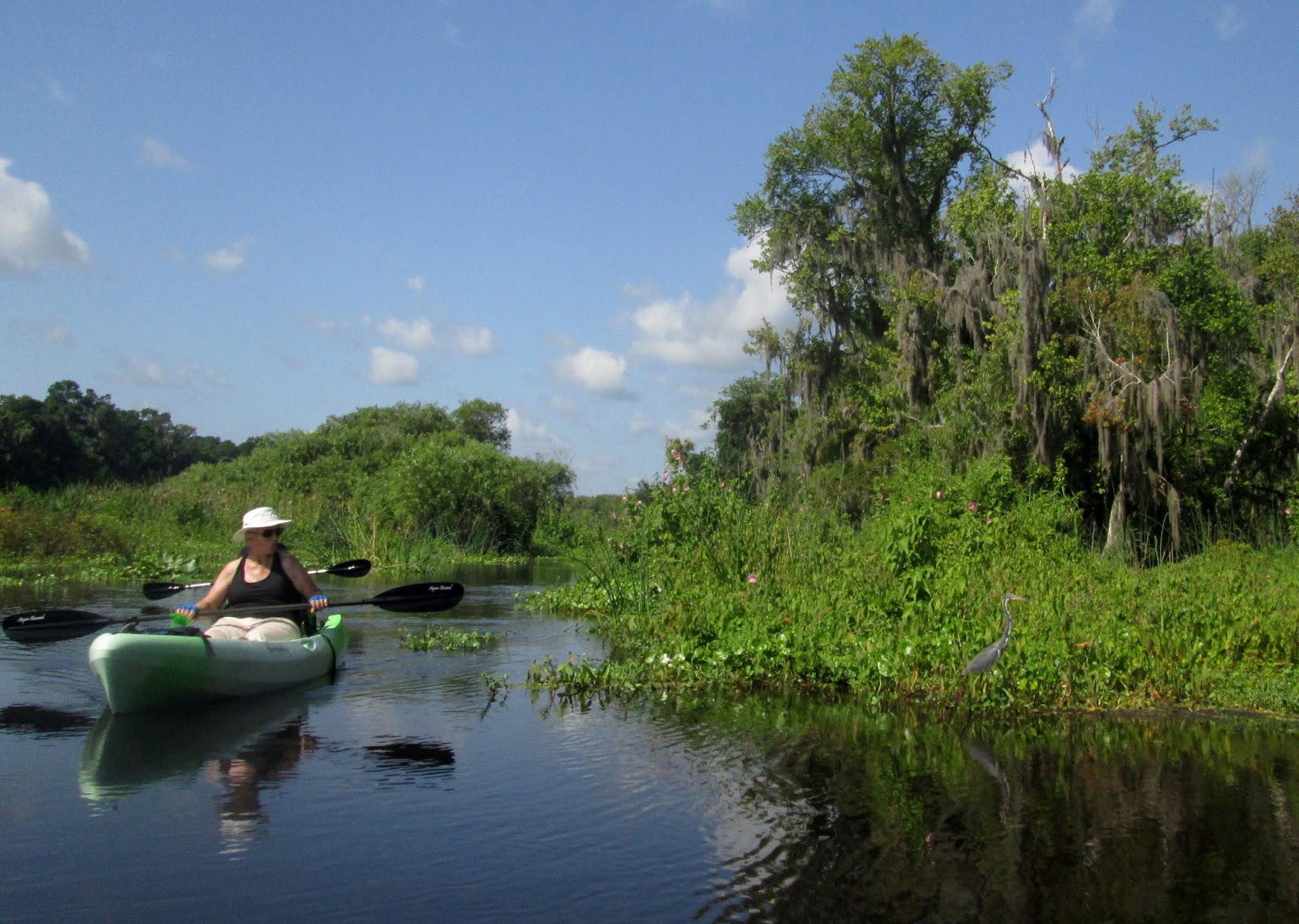 Central Florida Kayak Tours Exploring the cool spring fed Wekiva River