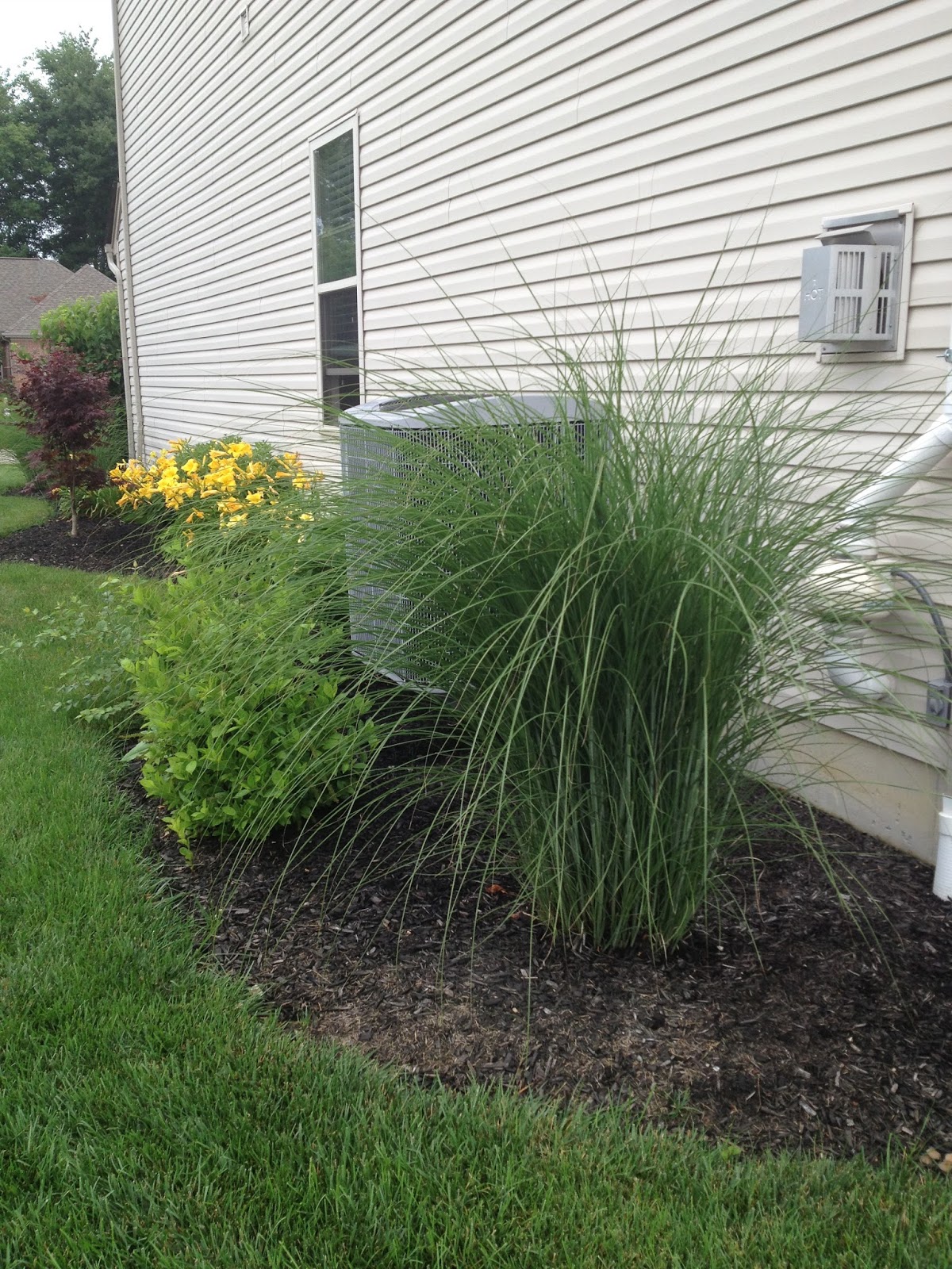 MY LIFE BY DESIGN landscaping update The side yard....