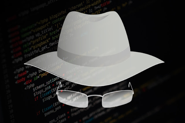 The-White-Hat-Hackers-And-What-They-Do.jpg