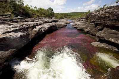 color water crystal river 07 Sungai Kristal   Sungai tercantik di Dunia (16 Gambar)