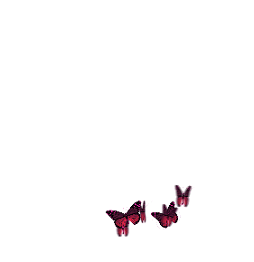 SimoneAni383-preview.gif