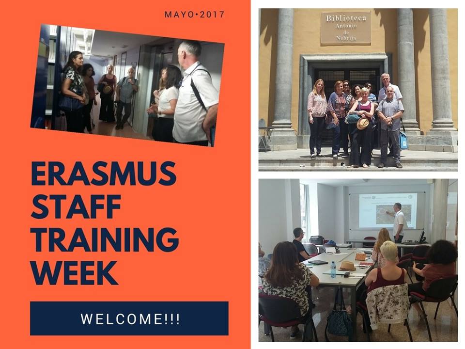 Blog de la Biblioteca General María Moliner de la UM. Erasmus Training