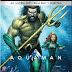 Aquaman Steelbook Pre-Orders Available Now!