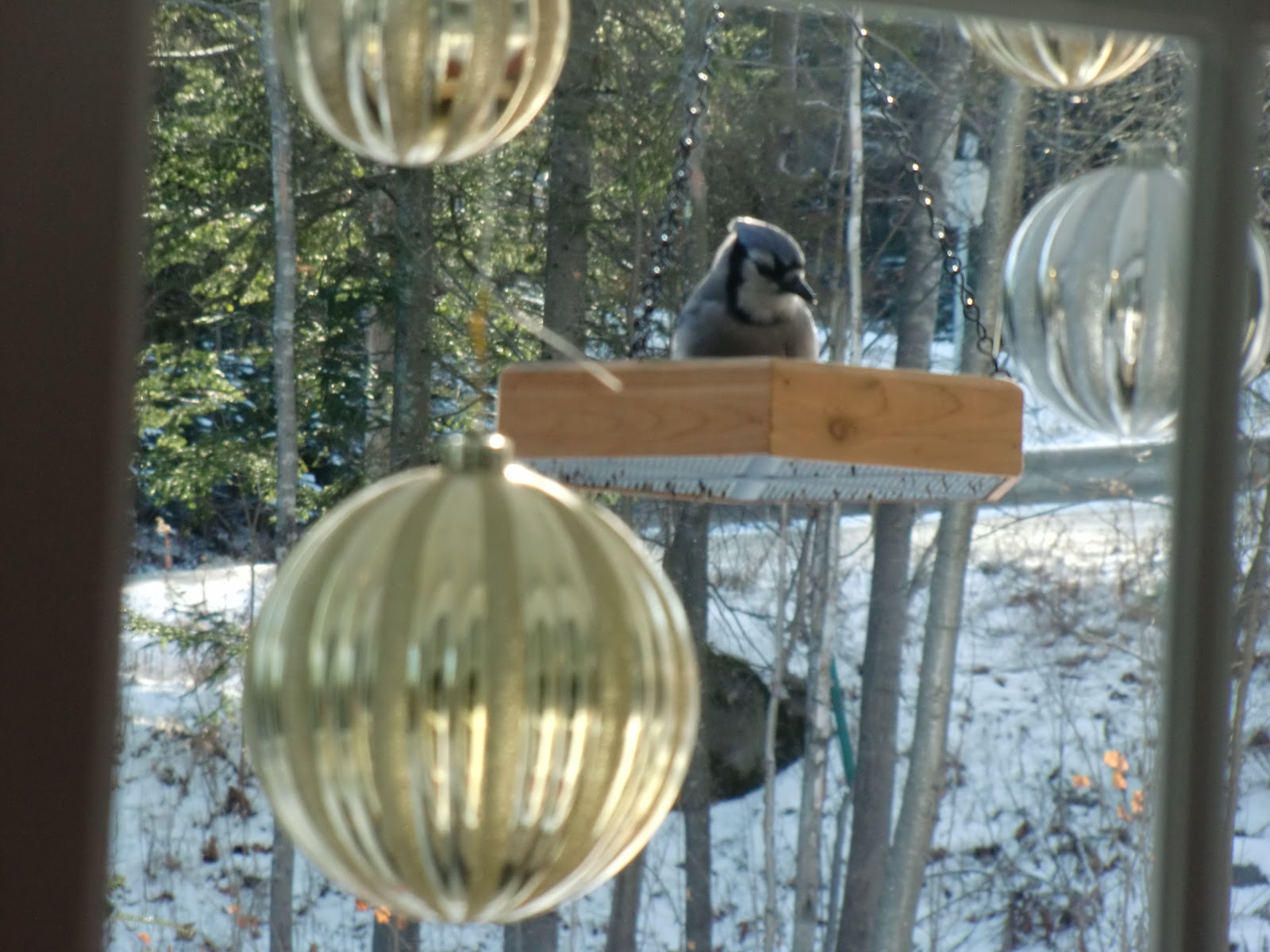 Le Journal d'une Citrouille: Nos décoration de Noël à l'extérieur
