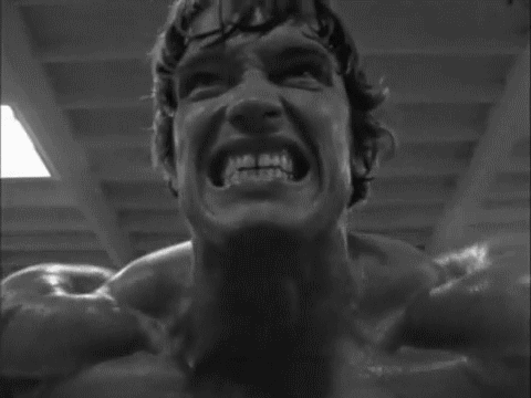 Шварценеггер хулиганы картинка