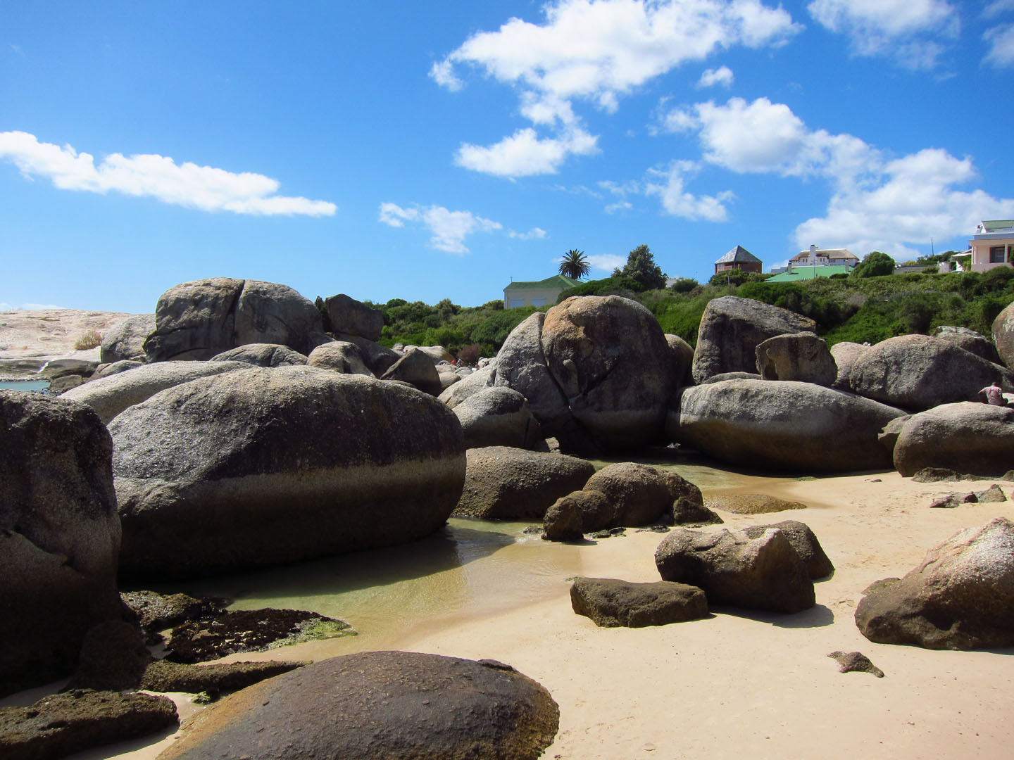 66 Square Feet (Plus) Boulders Beach, Cape Town