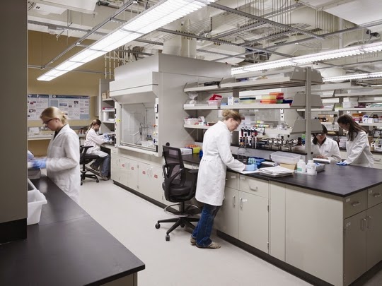 Lean Laboratory: Lean Six Sigma in the Laboratory