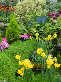 Allan Gardens Conservatory Spring Flower Show 2014 pond by garden muses-not another Toronto gardening blog