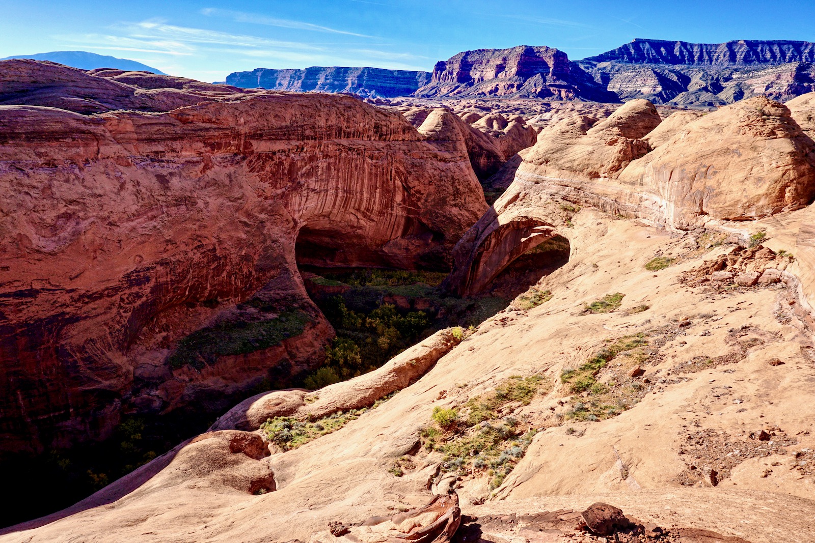 Earthline The American West Davis Gulch Glen Canyon National