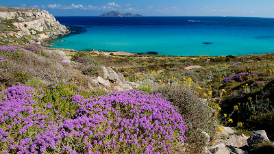 Favignana cala rossa Egadi