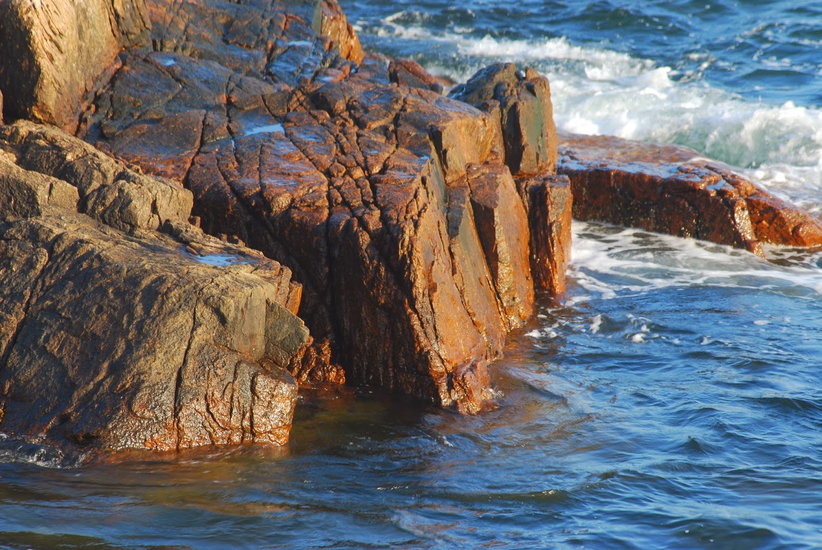 Litton's Fishing Lines Ship Harbor Trail, Acadia National Park, Mount