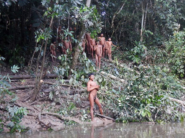 https://24.sapo.pt/atualidade/artigos/brasil-e-o-pais-que-perdeu-maior-area-de-florestas-tropicais-primarias