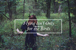 why are birds flying into my house 7