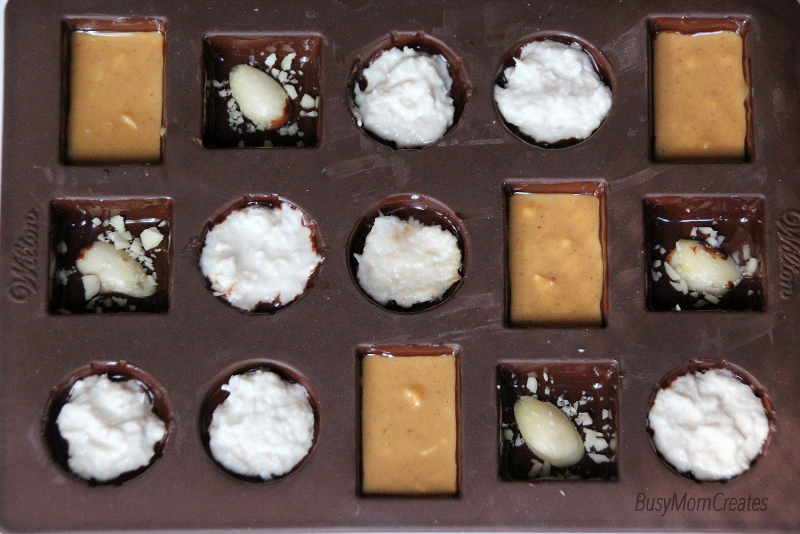 Dark Chocolate Truffles (Vegan/ Ketogenic)