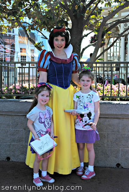 Meeting Snow White in the Magic Kingdom, Serenity Now blog