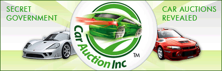 Car Auction Inc