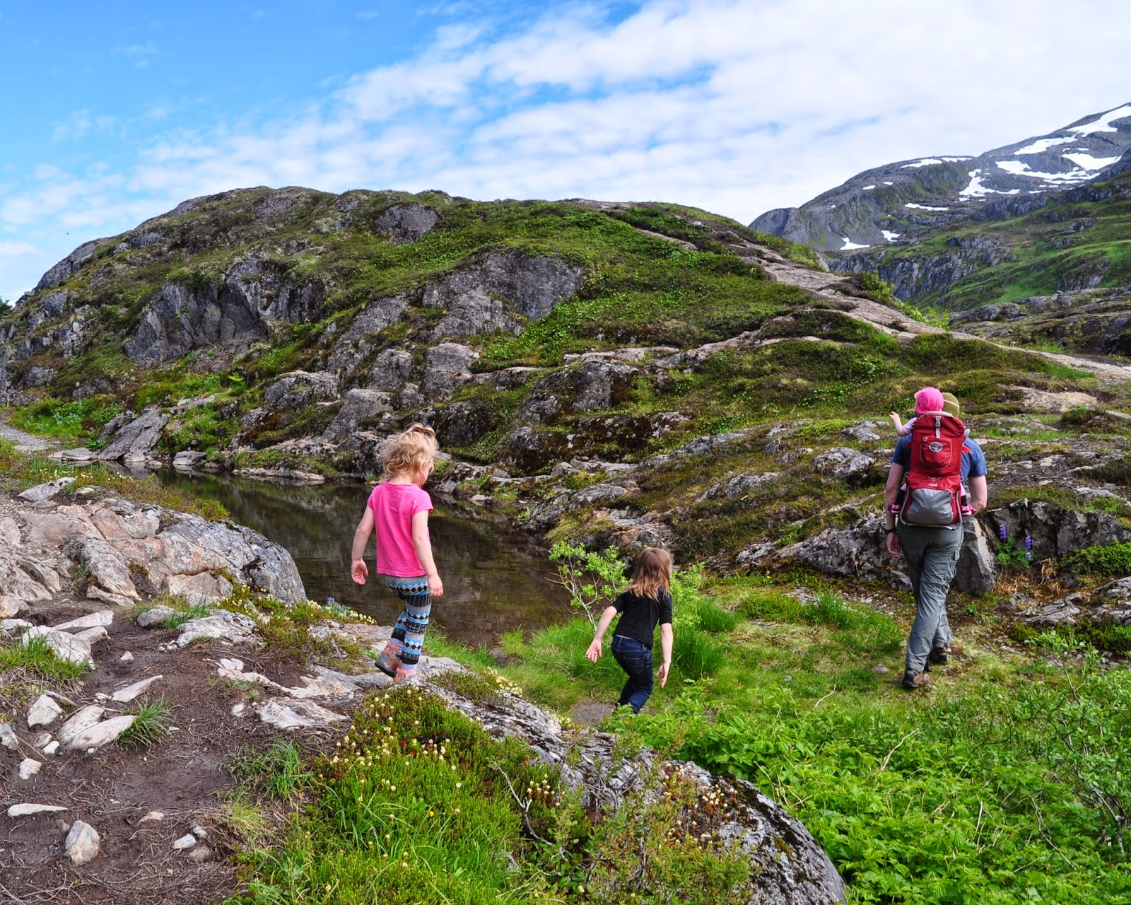 Heart Alaska Portage Pass Trail