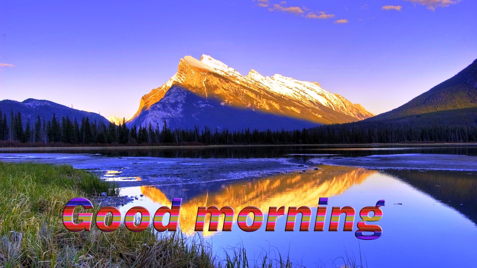 best good morning wallpapers free download wallpapers images for
