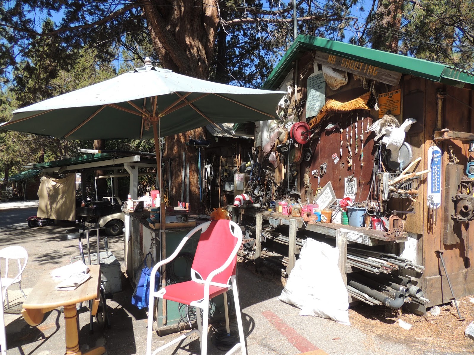 THE ROAD TAKEN Big Bear Lake, CA