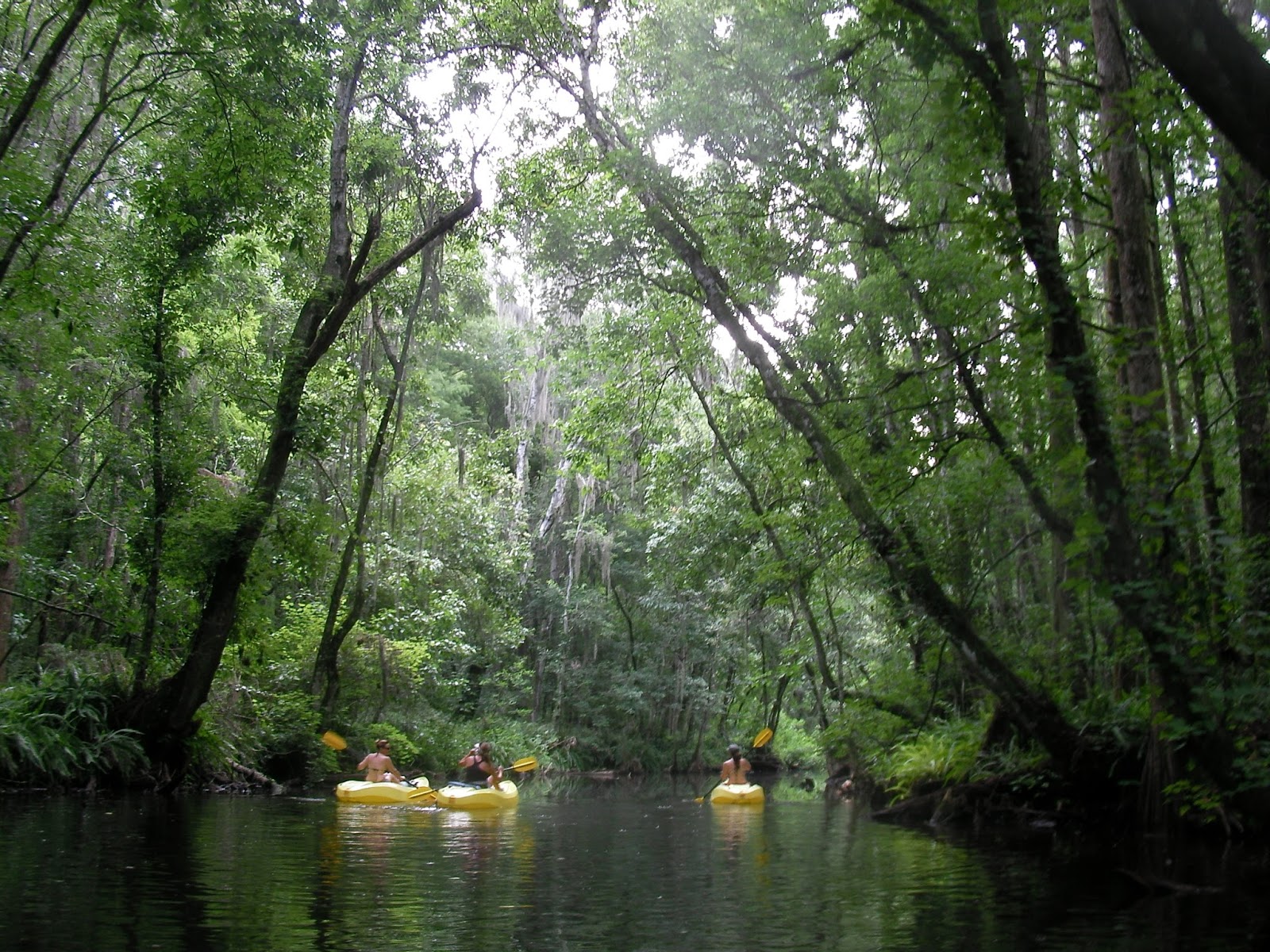 The "Unknown" Florida Kayaking at Mount Dora Canal Tavares, FL
