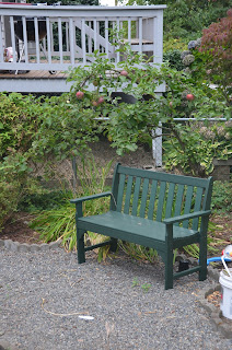 polywood bench under an apple tree