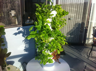 Growing organic is fun and very simple with this tower garden system.