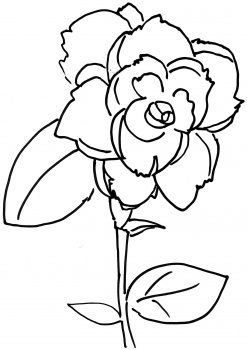 Only roses coloring pages