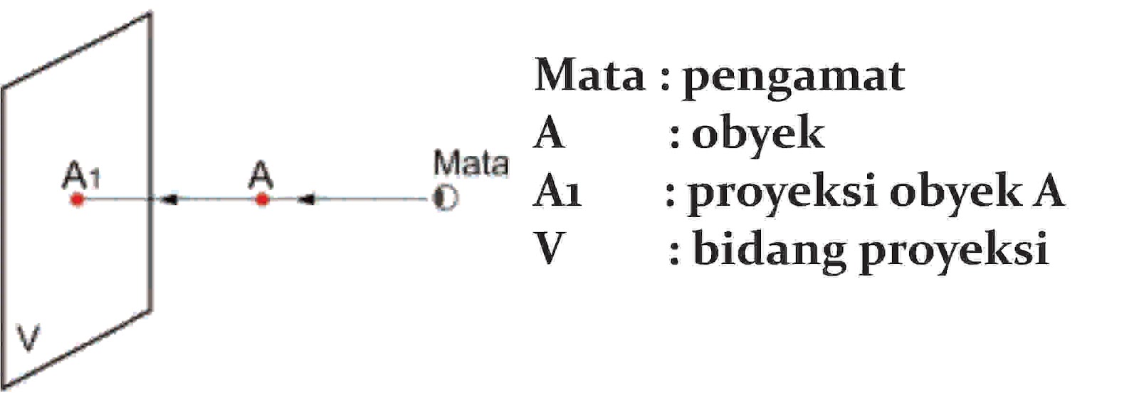 PROYEKSI: Proyeksi Model Eropa dan Amerika