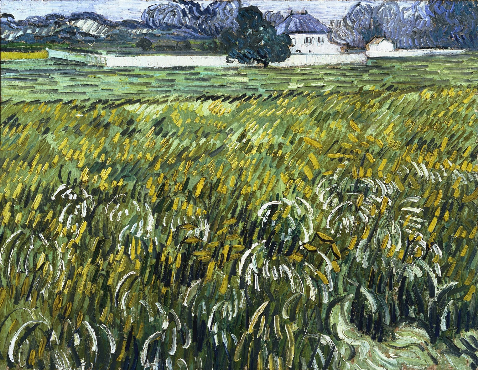 Van Gogh In Auvers Sur Oise France 1890 The Masterpieces Of Art