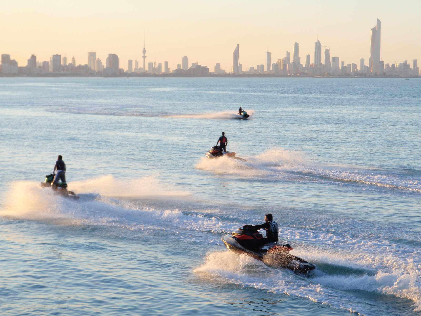 Athens Nature Journal Kuwait Birding Nature and culture experiences