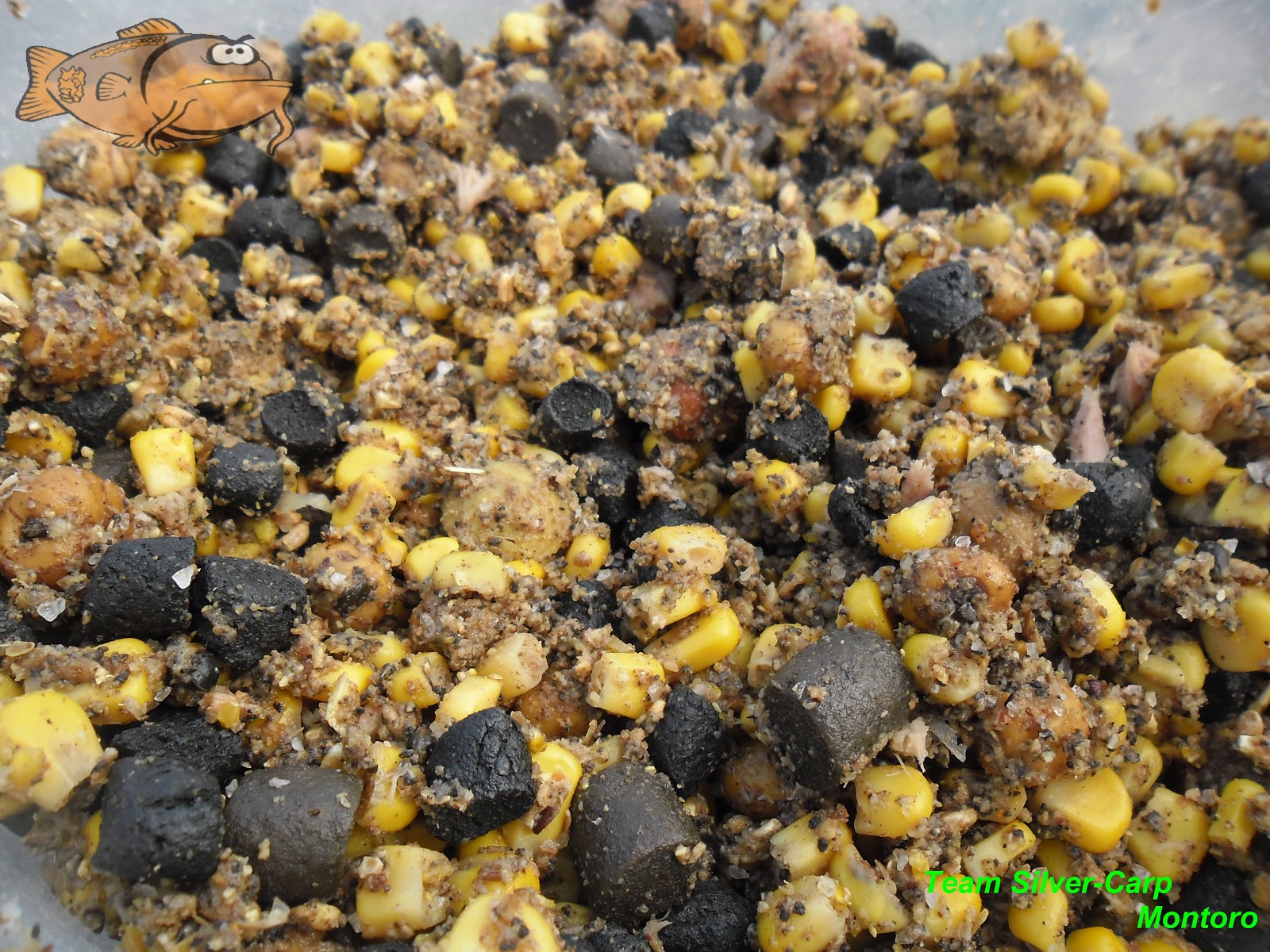 silver-carp blog: CEBADO "MASIVO O AL HOT SPOT"