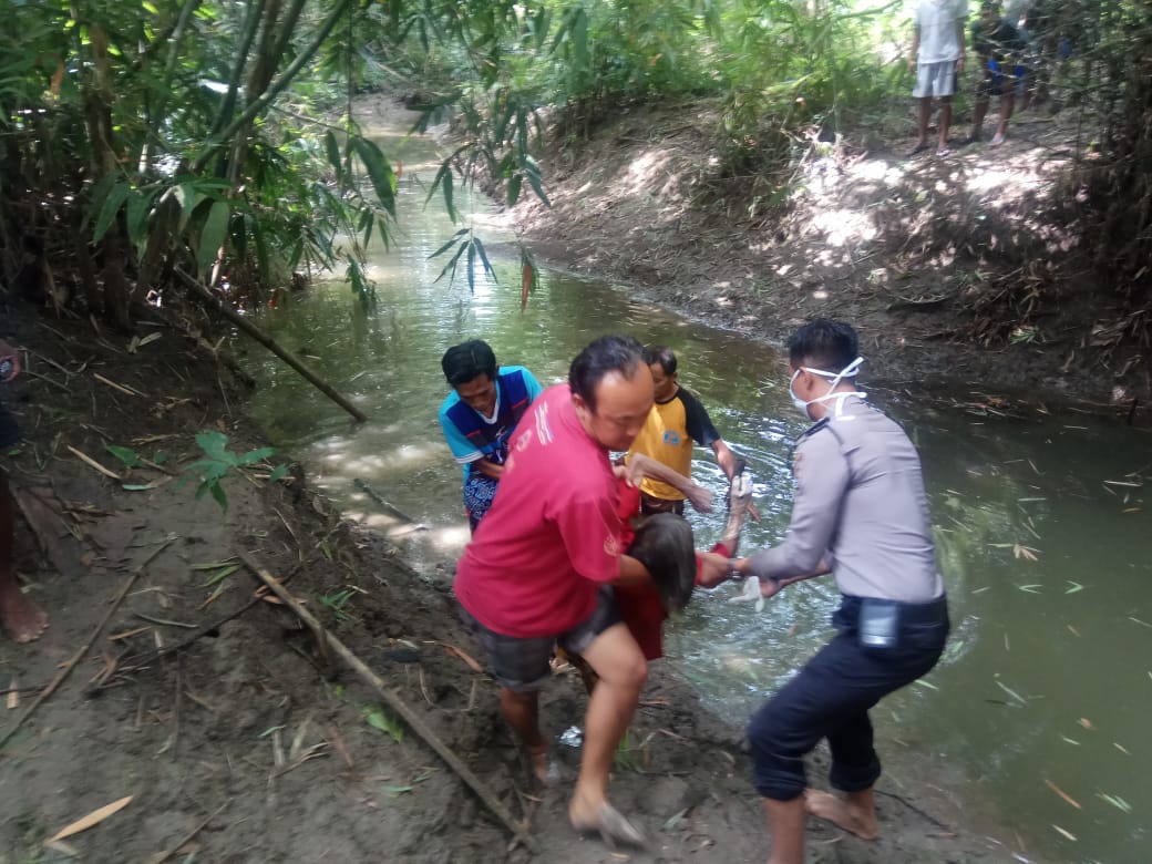 Januari 2019 Sigap Ngawi