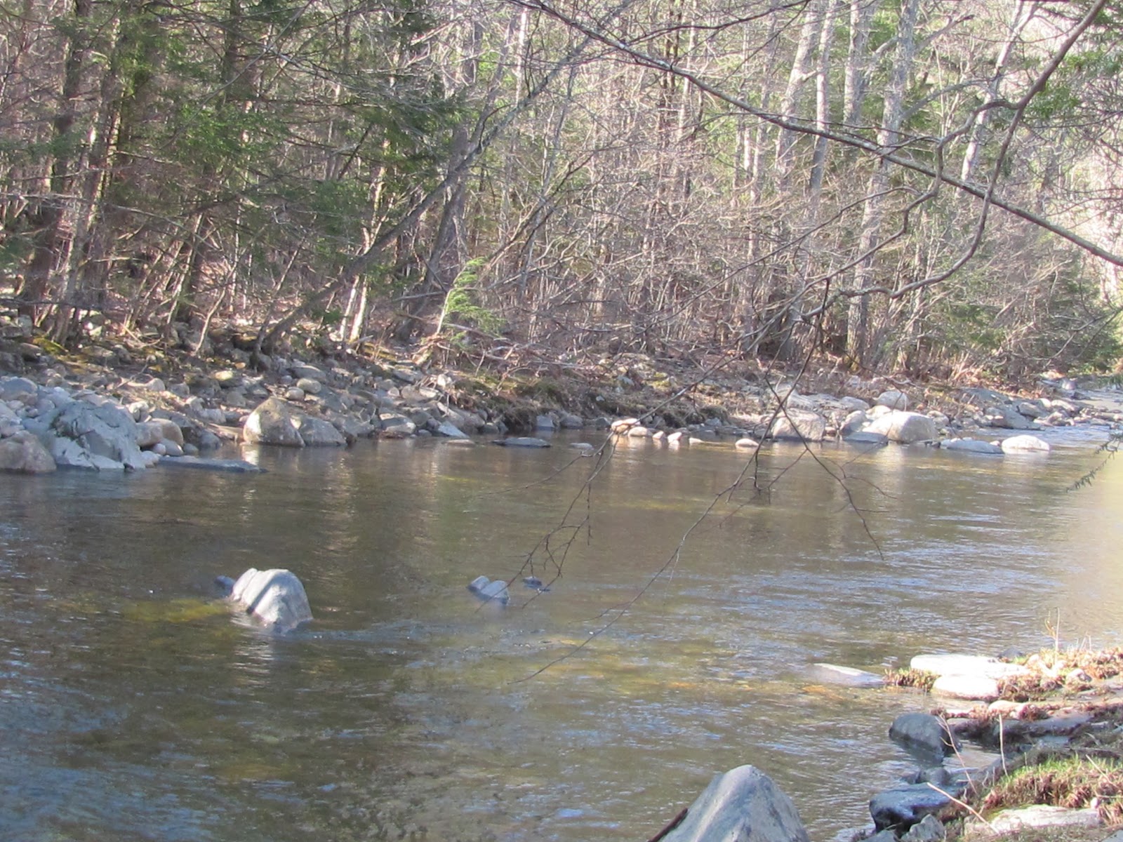 to the Millers River Fly Fishing Forum Quinapoxet River News