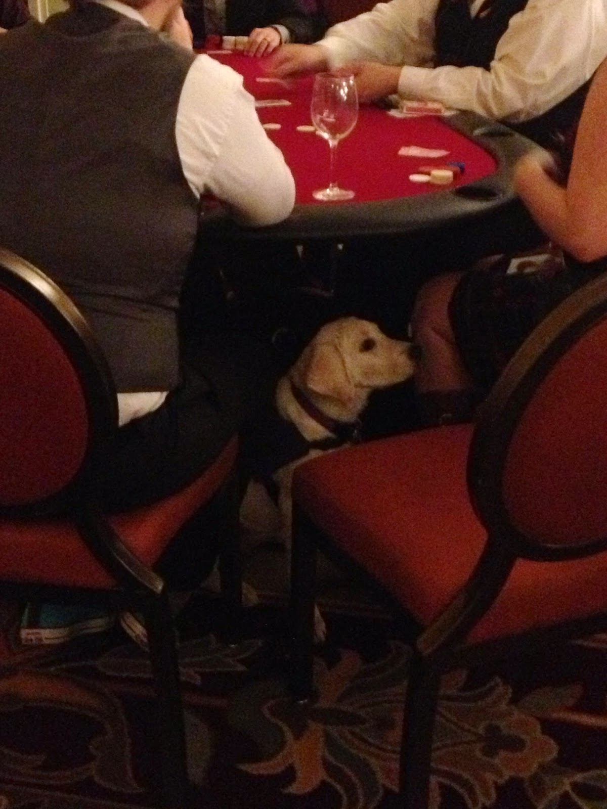 Susquehanna Service Dogs Lucky Dog Casino Night