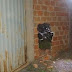 Norte de Minas: Bandidos abrem buraco em muro do pátio do Detran para furtar veículos