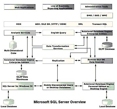 Các thành phần của SQL - Server - tinhoccoban.net