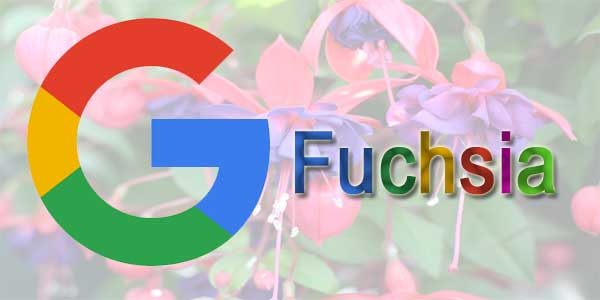 Fuchsia, O Novo Sistema Do Google o substituto do Android Imagen Do Fuchsia, O Novo Sistema Do Google o substituto do Android