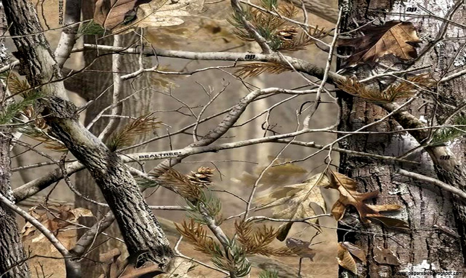 Realtree Camo