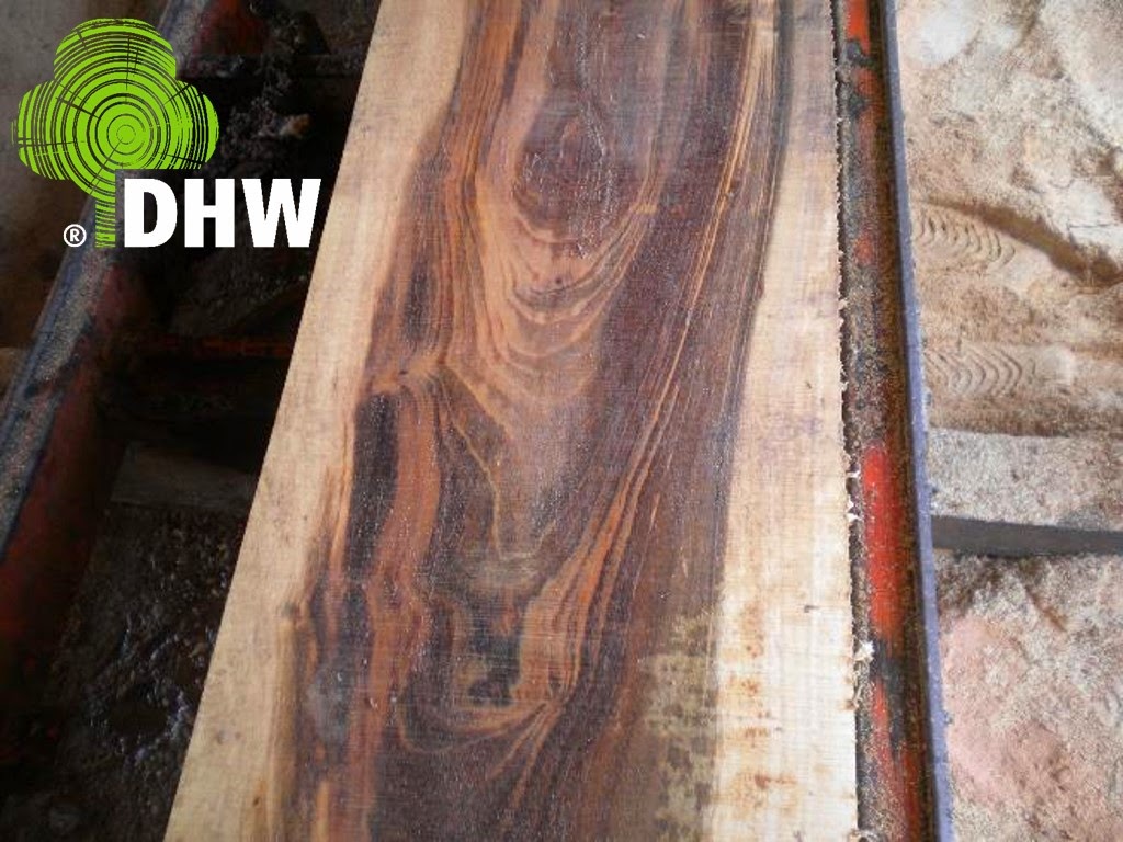 Cocobolo DHW Timber Exotic tropical hardwoods